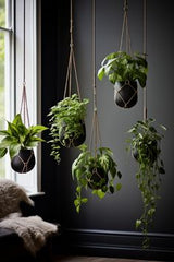 NICE PLANTS IN CORNERChoosing the Right Plants for Room Corners