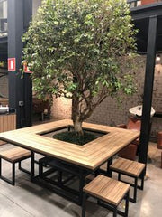 GOOD CAFE,WITH GOOD DECOR,Outdoor Cafés: A Green Retreat