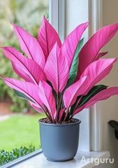 BIG PINK LEAVES LOOKS AMAZING