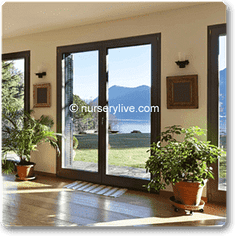 Compact 1BHK (Economy) Plant Decor Pack