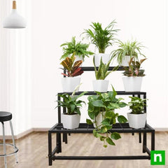 Fascinating indirect light houseplants on 3-tier metal stand