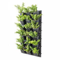 Create Outdoor Good Luck Wall to Bring Prosperity