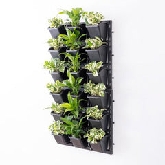 Textured Indoor Green Wall with Best Foliage Plants