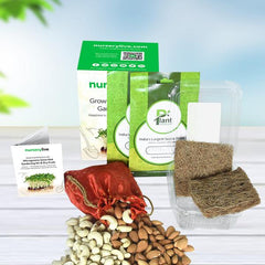 Gardening Made Easy with Microgreens Grow Mat Gardening Kit and Dry Fruits Gift pack