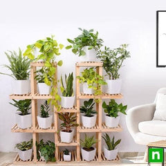 Mesmerising indoor plants with wooden stand for indirect bright light space