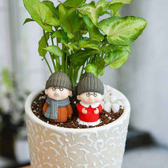 Celebrate years of togetherness with Dada - Dadi - Miniature Garden