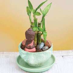DIY Peace Starts Within, Praying Buddha - Miniature Garden