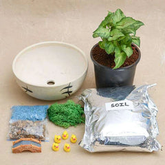 DIY River Crossing Ducklings - Miniature Garden