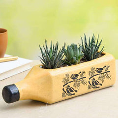 DIY Succulent Garden