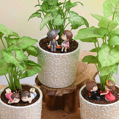 Forever love - Miniature Garden