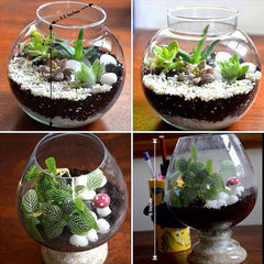 Bright green terrarium pack