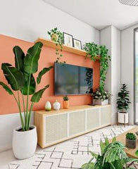 TV ROOM WITH LONG PLANT