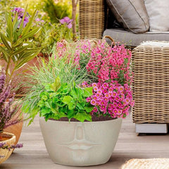 Pairing two plants in a single pot creates a beautiful, harmonious display