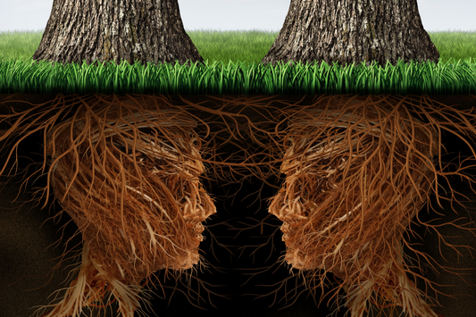 Are trees telepathic?