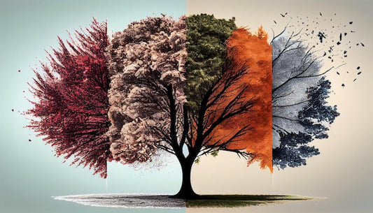 TREES have memories