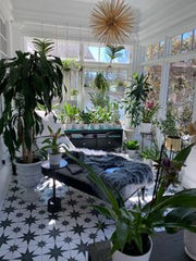 A LIVING ROOM THAT LIVES AND BREATHES