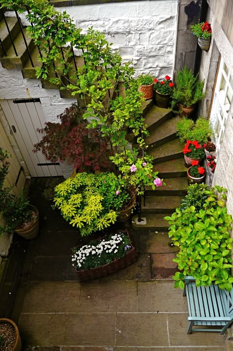 Stairs aren’t just for movement—they’re an opportunity to add beauty and charm