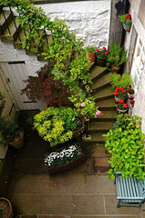 Stairs aren’t just for movement—they’re an opportunity to add beauty and charm