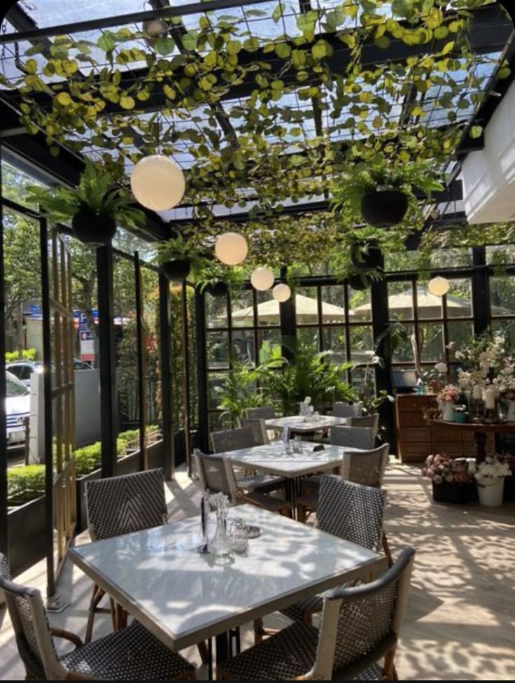 GREEN CAFE,owners can create an atmosphere that feels fresh, stylish, and welcoming. Whether through small potted plants