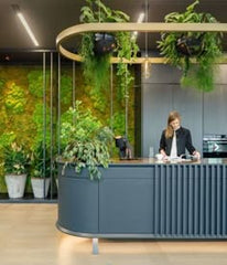 RECEPTION AREA WITH AMAZING INDOOR PLANTS,A reception area enriched with plants sets a welcoming tone the moment someone WALKS IN