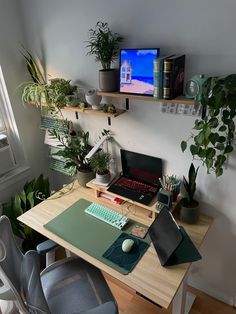 DAUGHTER ROOM,Enhancing Your Study Room with Plants