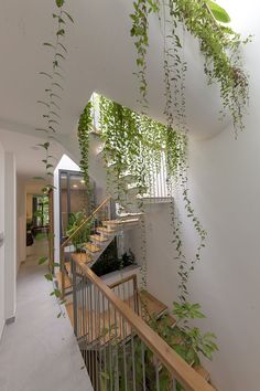 BRINGING NATURE TO EVERY STEP OF MY SANCTUARY