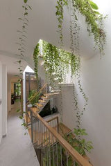 BRINGING NATURE TO EVERY STEP OF MY SANCTUARY