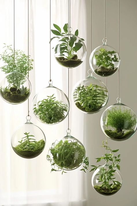 Wall Mounted Hydroponic Plant