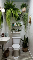 NICE BATHROOM WITH PLANTS,A Mini Indoor Jungle for Your Bathroom
