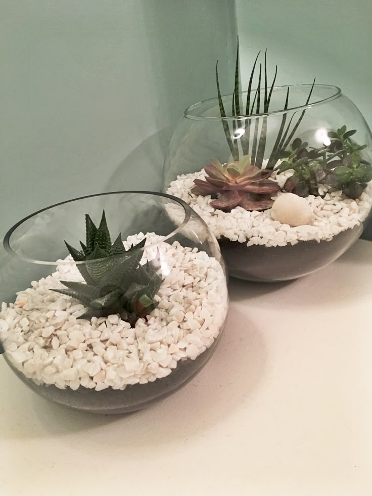 Bring Life to the Dining Table