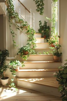 Illuminating Plants for an Elegant Ambiance