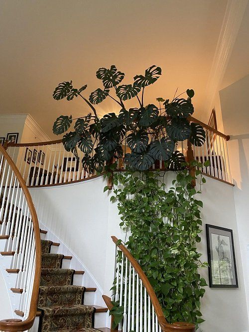 Stairs with Plants ,turn ordinary steps into a living masterpiece!