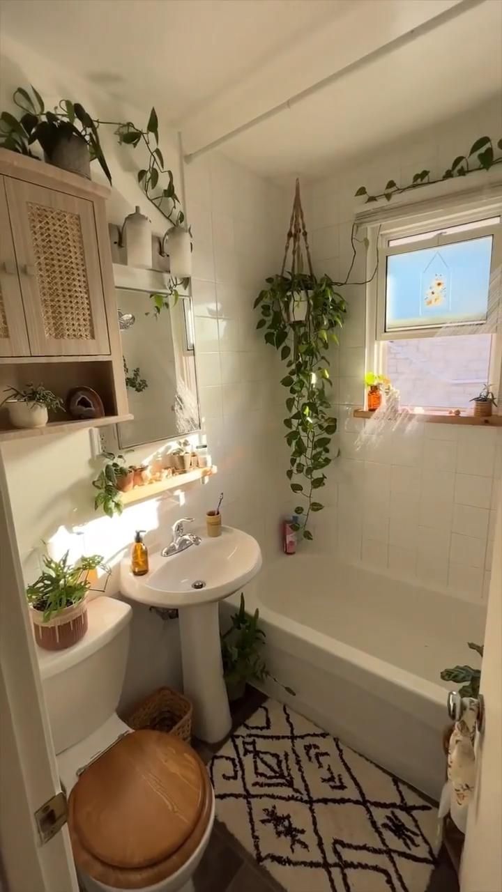 bathroom plant, A Lush Green Escape