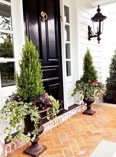 HOTEL PORCH PLANTS