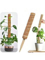 Moss Stick- Green Grass Pole for Plants