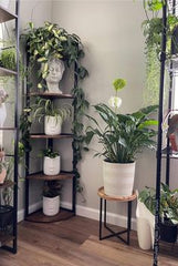 POT STAND
