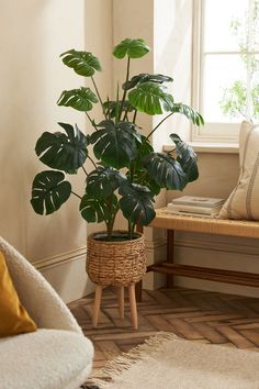LIVING ROOM LONG PLANT,Nature’s Charm in Every Corner