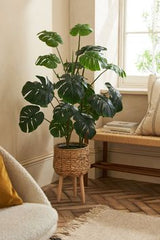 LIVING ROOM LONG PLANT,Nature’s Charm in Every Corner