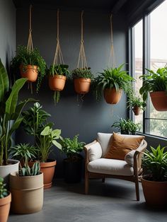 CORNER OF ROOM WITH HANGING PLANTS