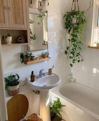 bathroom plant, A Lush Green Escape