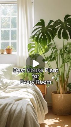 DEAR DAUGHTER SURROUND YOURSELF WITH LOVE AND GREENERY