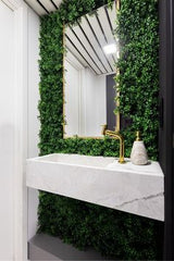 GREENERY NEAR MIRROR,A Breath of Fresh Air
