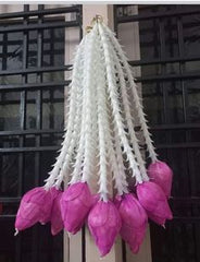 The frill of Diwali comes alive with vibrant plant-inspired decorations that dance with color and joy. FRILL FOR DECORATION