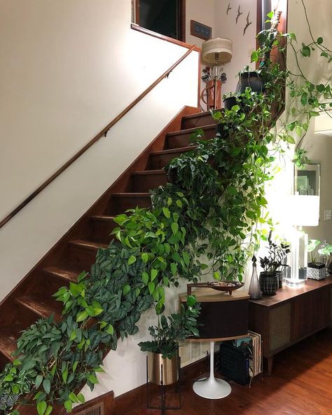 A Living Staircase: Beauty in Every Step