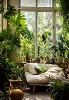 CORNER OF ROOM WITH NICE PLANTS