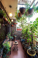 A balcony filled with plants becomes a peaceful oasis in the middle of daily life. Layered greenery—