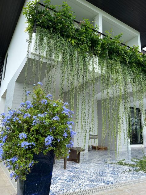 GALLERY OF CAFE THAT RESEMBLES JEJU ISLAND