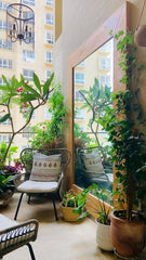 CORNER OF ROOM,Even the smallest corners can be transformed with plants.