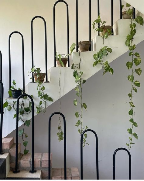 A Living Staircase: Beauty in Every Step
