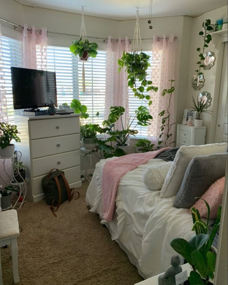 A living room adorned with big plants radiates freshness, style, and tranquility.